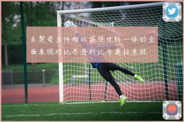 东契奇为何难以实现攻防一体的全面表现对比乔丹科比与奥拉朱旺