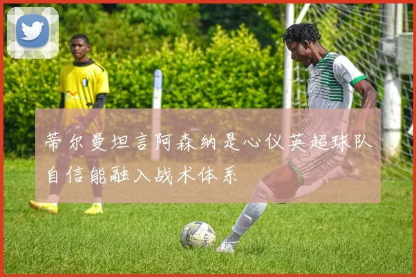 蒂尔曼坦言阿森纳是心仪英超球队自信能融入战术体系