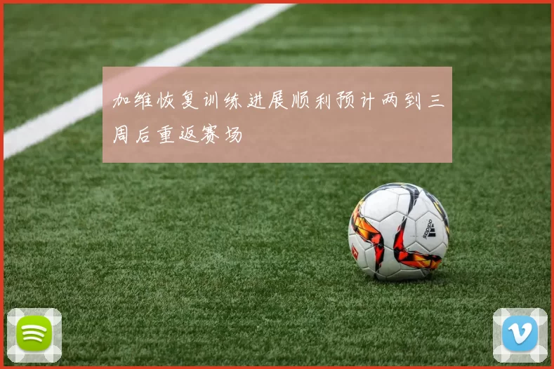 加维恢复训练进展顺利预计两到三周后重返赛场